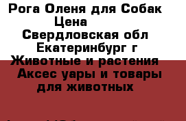 Рога Оленя для Собак › Цена ­ 175 - Свердловская обл., Екатеринбург г. Животные и растения » Аксесcуары и товары для животных   